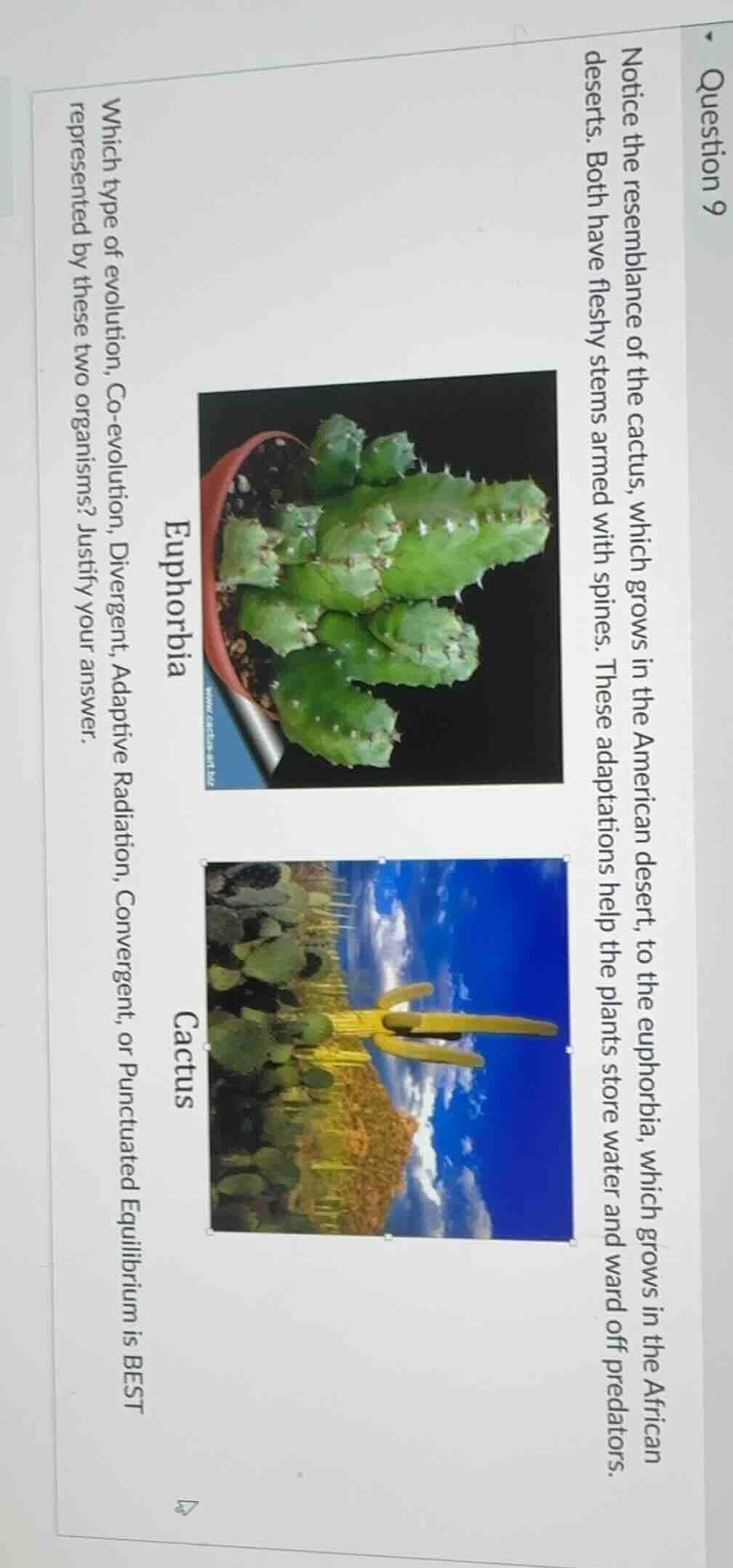 question 9 notice the resemblance of the cactus, which grows in the ame…