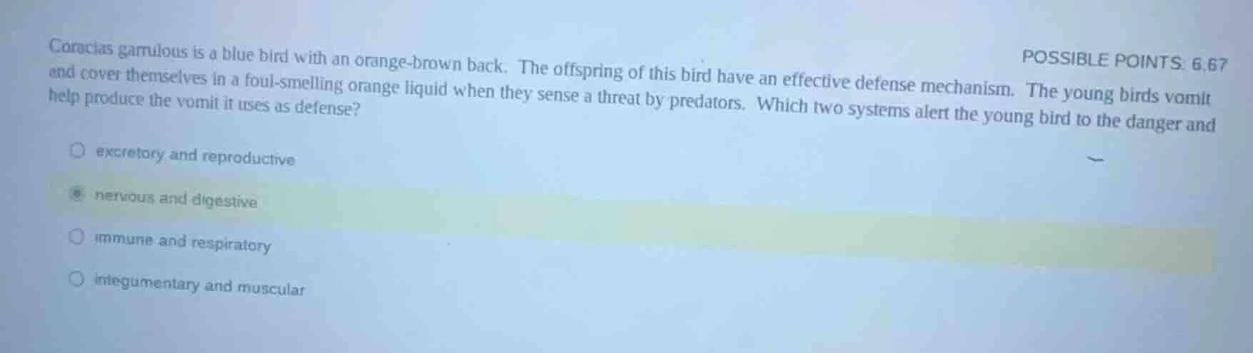 cyanocitta garrulus is a blue bird with an orange - brown back. the off…