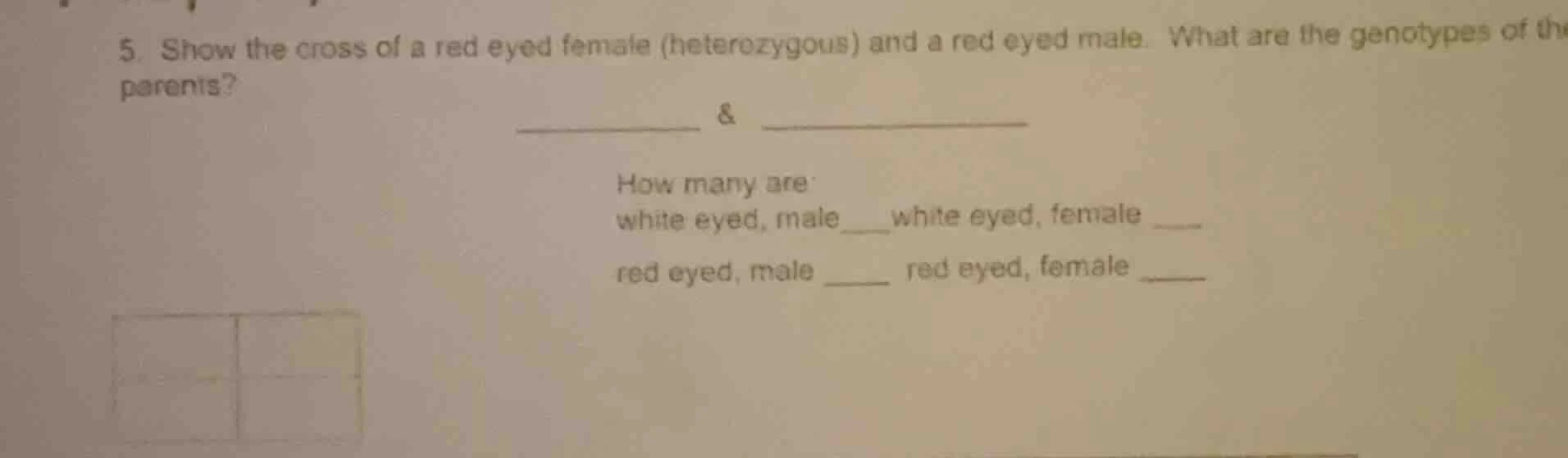 5. show the cross of a red eyed female (heterozygous) and a red eyed ma…