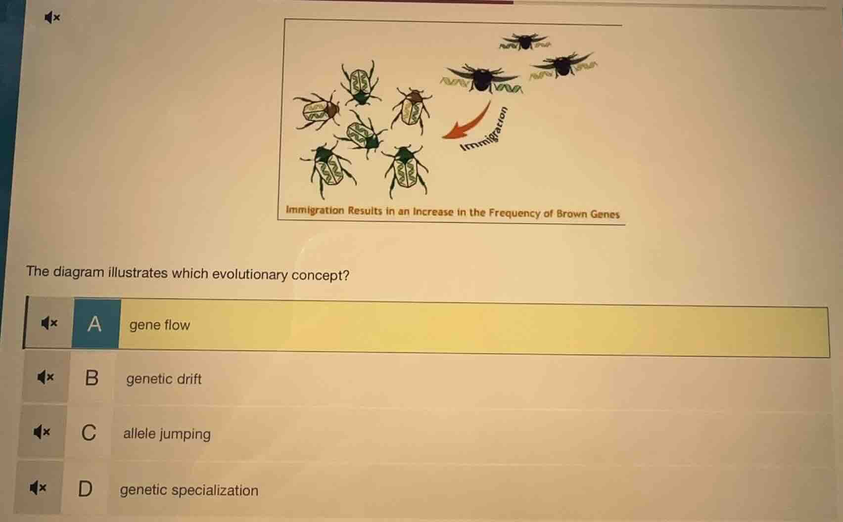 the diagram illustrates which evolutionary concept? a gene flow b genet…