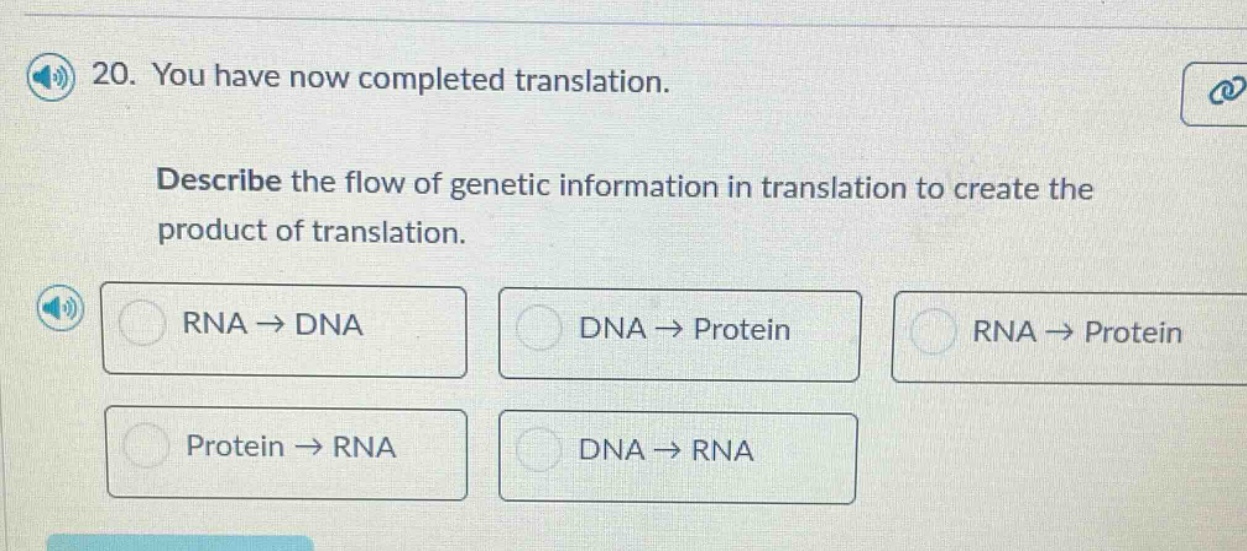 20. you have now completed translation. describe the flow of genetic in…