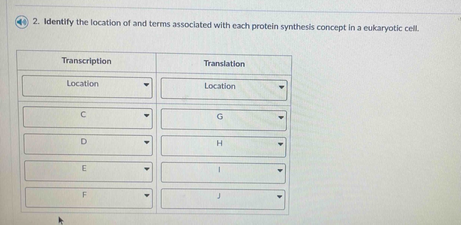 2. identify the location of and terms associated with each protein synt…