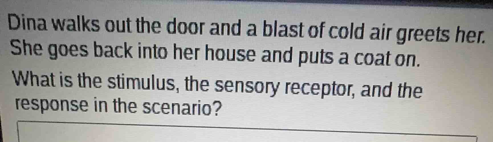 dina walks out the door and a blast of cold air greets her. she goes ba…