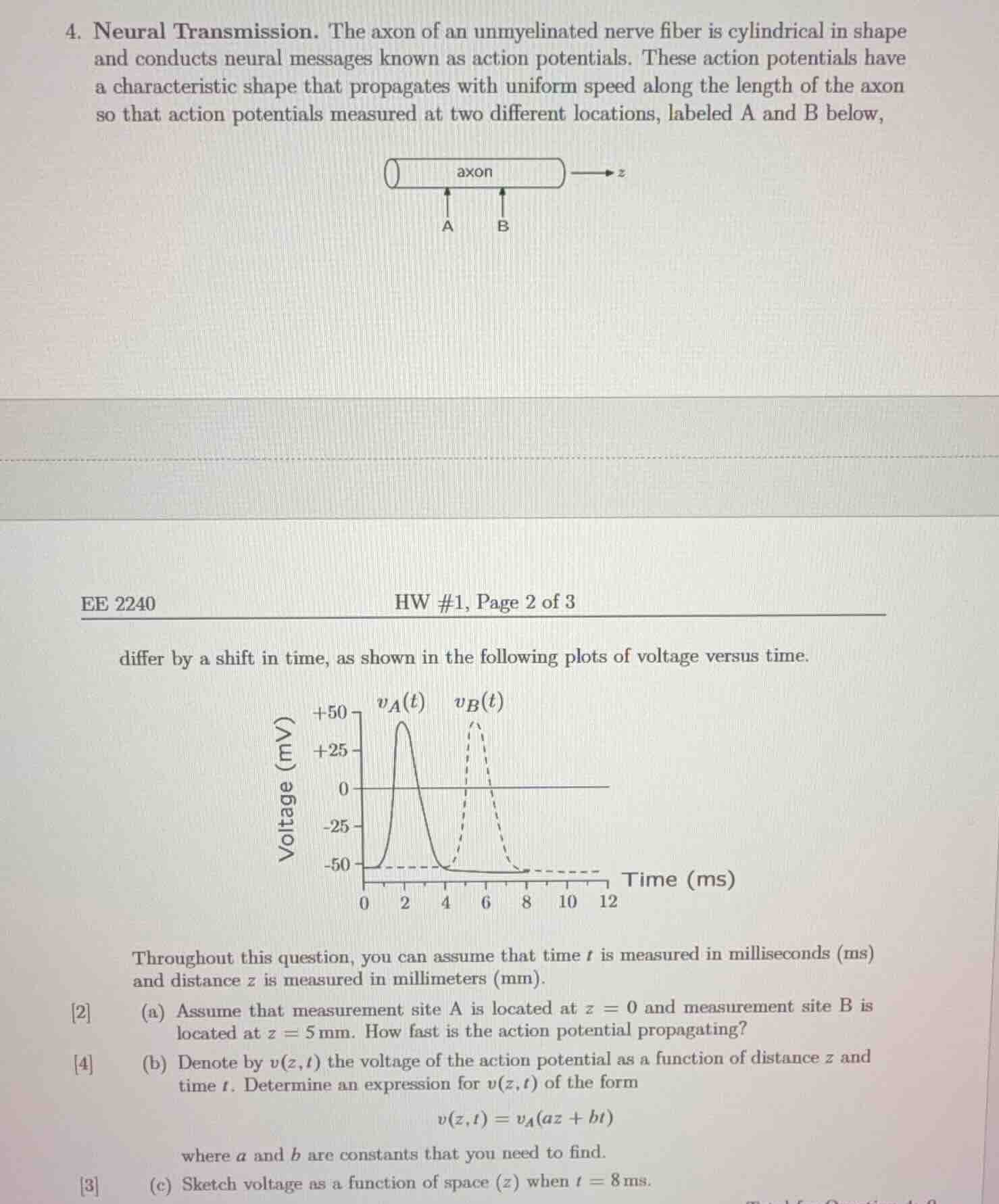 4. neural transmission. the axon of an unmyelinated nerve fiber is cyli…