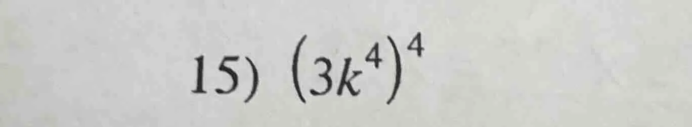 15) $(3k^4)^4$