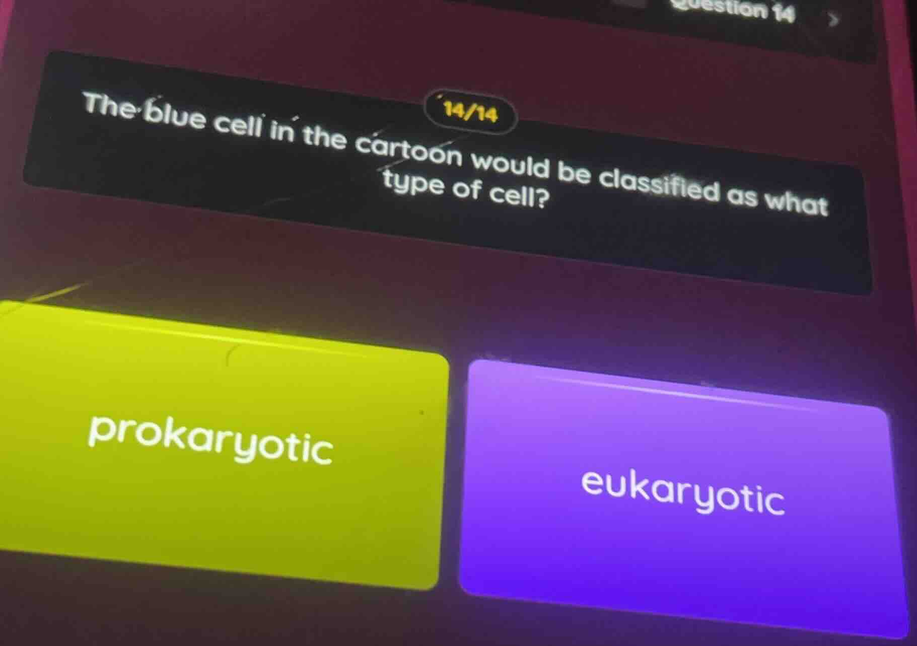 the blue cell in the cartoon would be classified as what type of cell? …