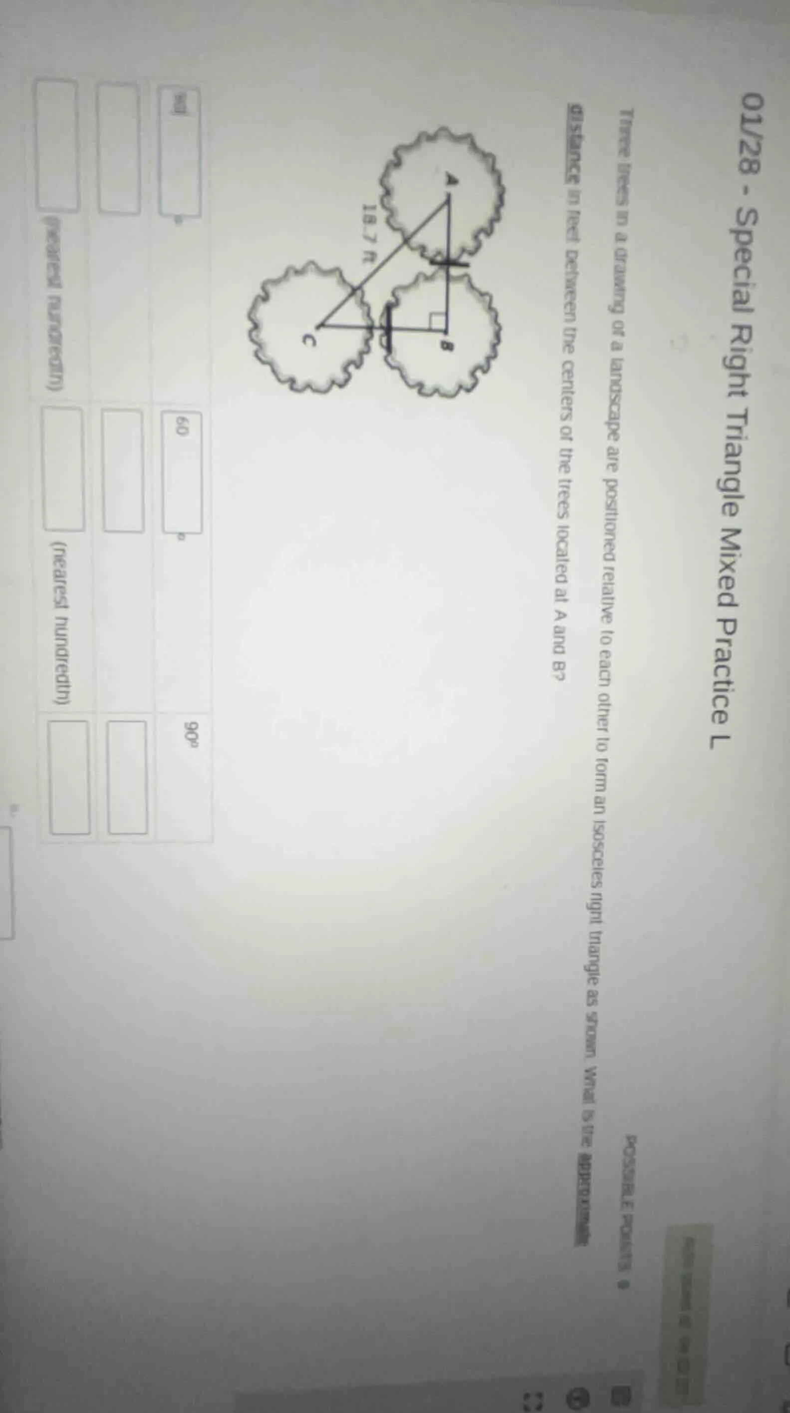 01/28 - special right triangle mixed practice l three trees in a drawin…