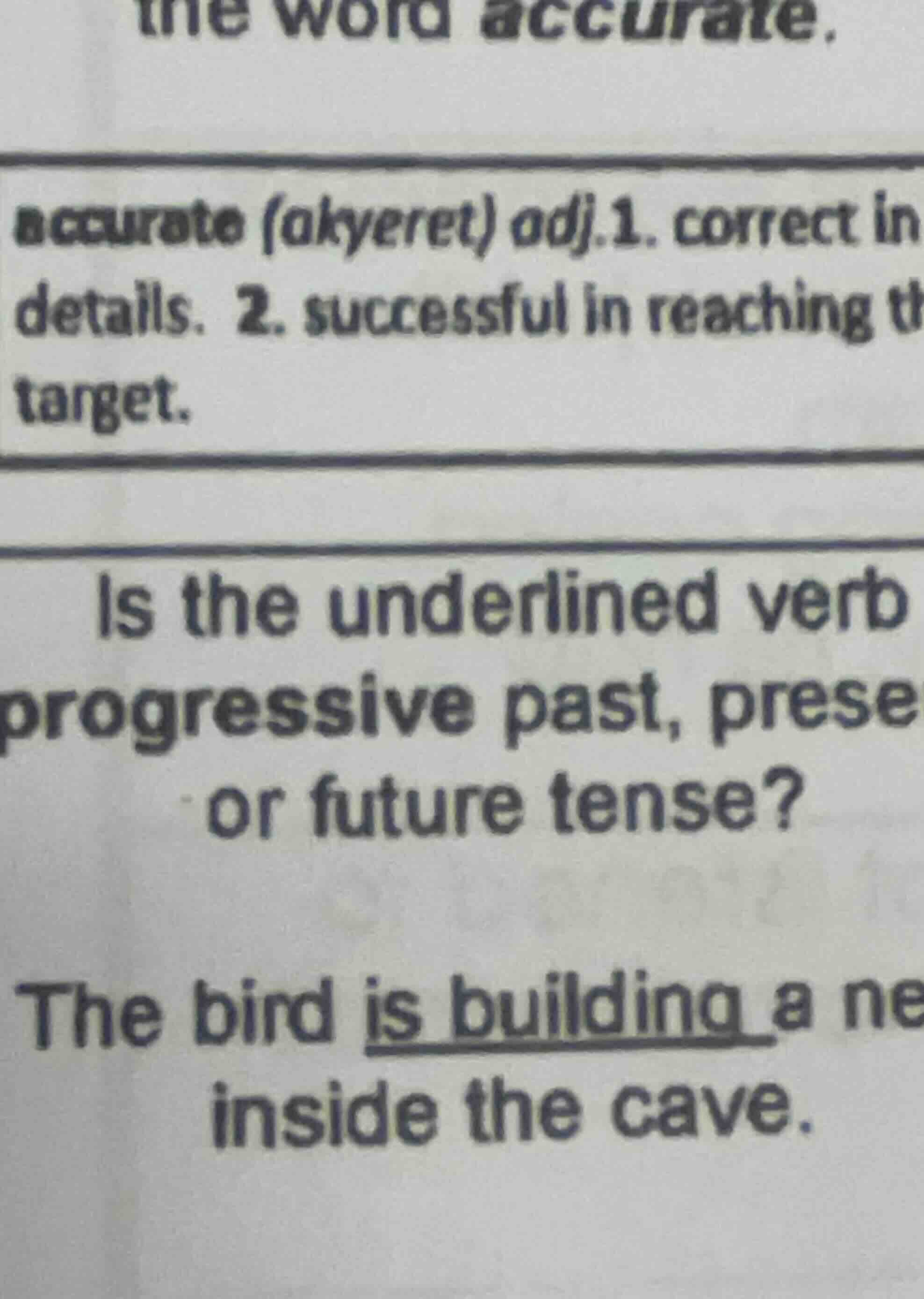 is the underlined verb progressive past, prese or future tense? the bir…