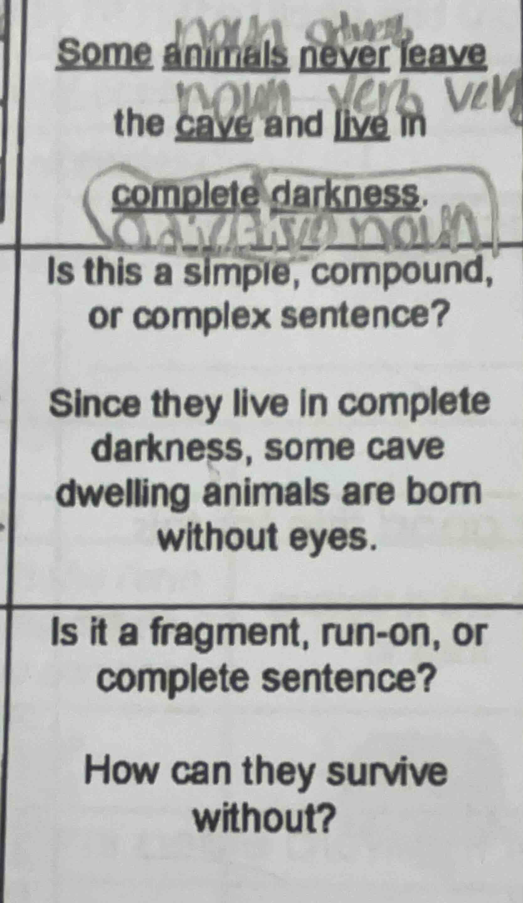 some animals never leave the cave and live in complete darkness. is thi…