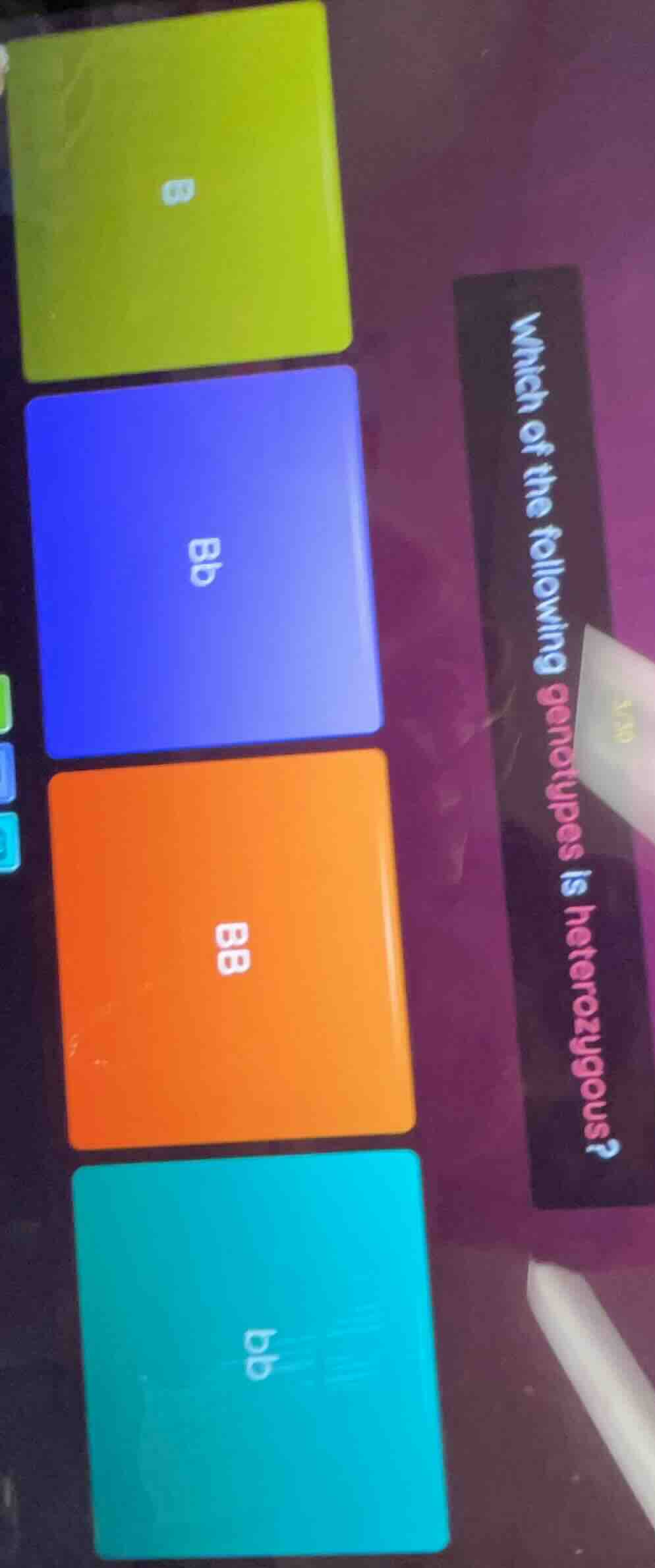 which of the following genotypes is heterozygous?