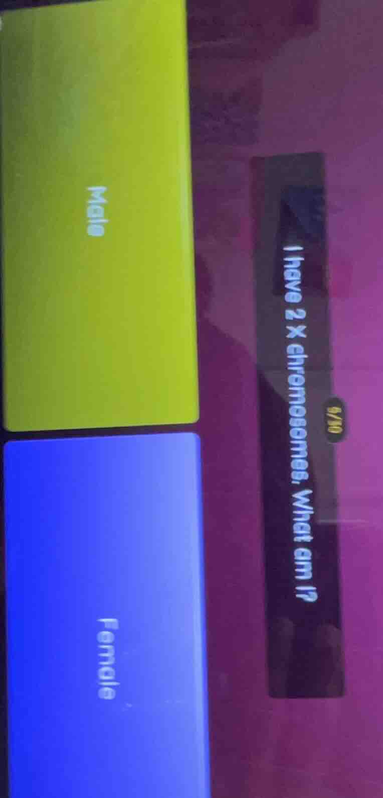 i have 2 x chromosomes. what am i? male female