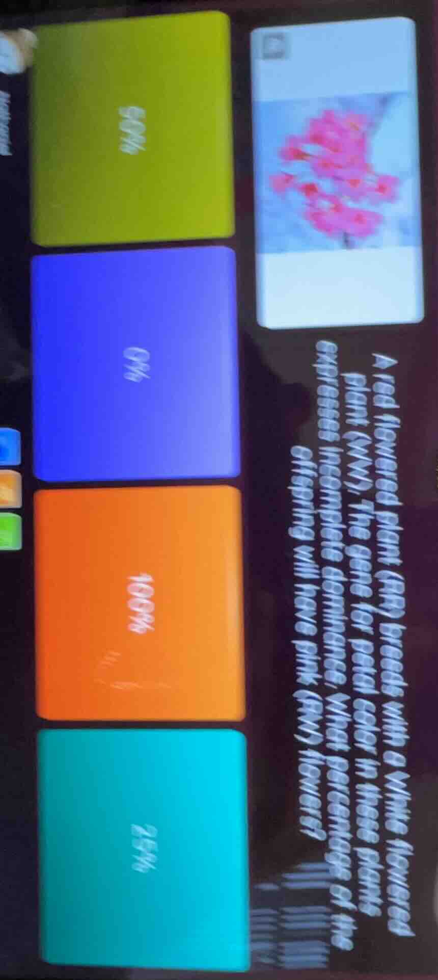 a red flowered plant (rr) breeds with a white flowered plant (ww). the …