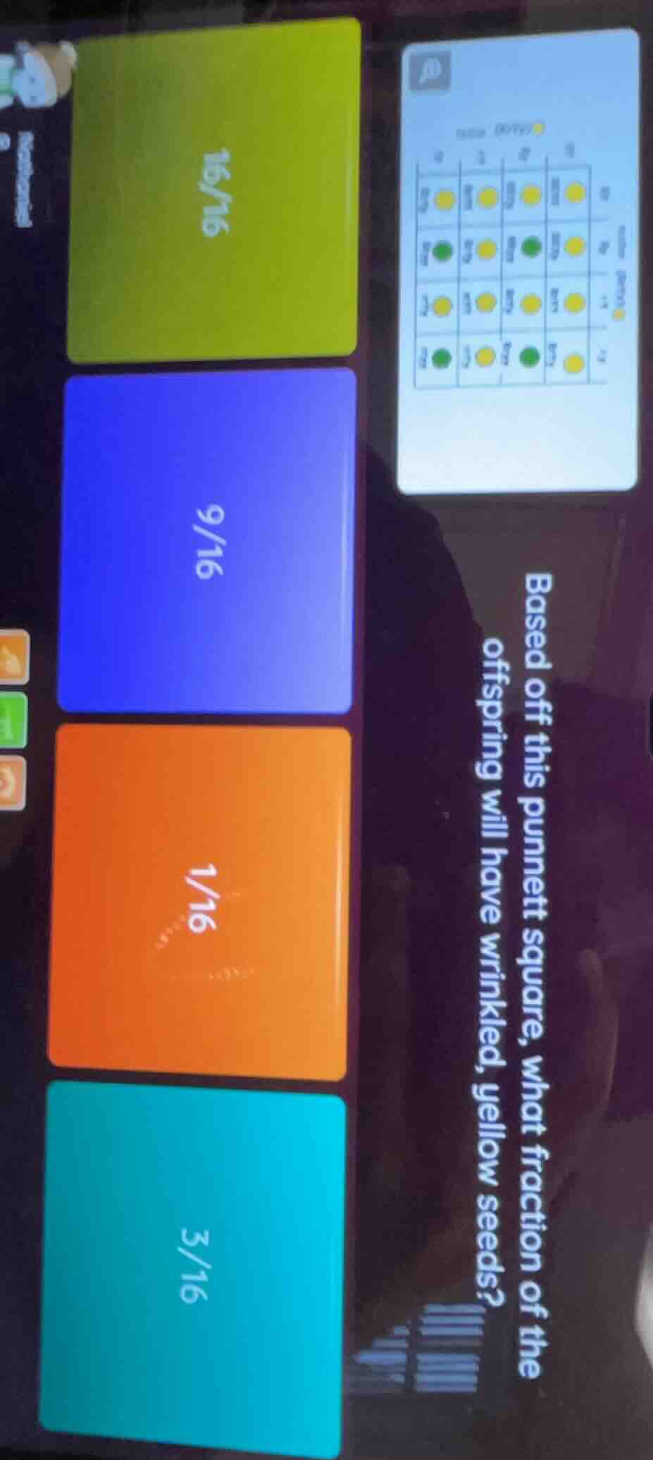 based off this punnett square, what fraction of the offspring will have…