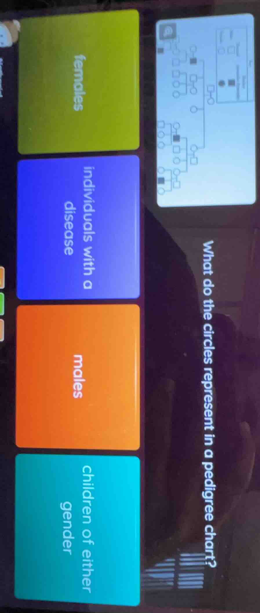 what do the circles represent in a pedigree chart? females individuals …