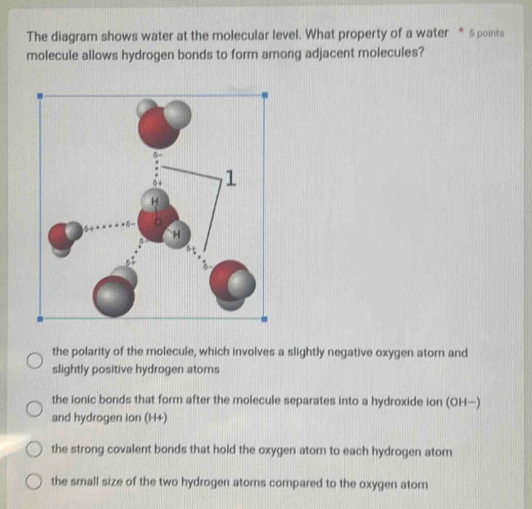 the diagram shows water at the molecular level. what property of a wate…