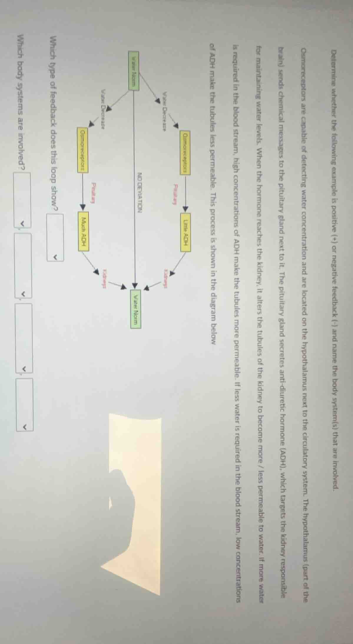 determine whether the following example is positive (+) or negative (-)…