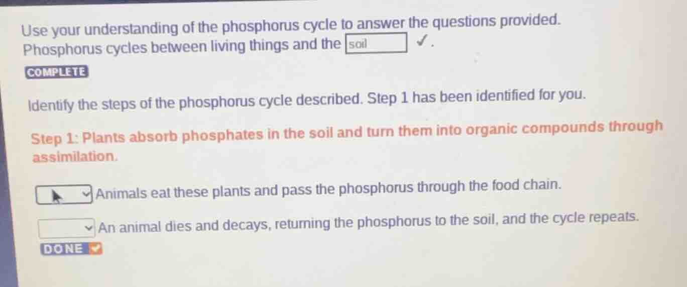 use your understanding of the phosphorus cycle to answer the questions …