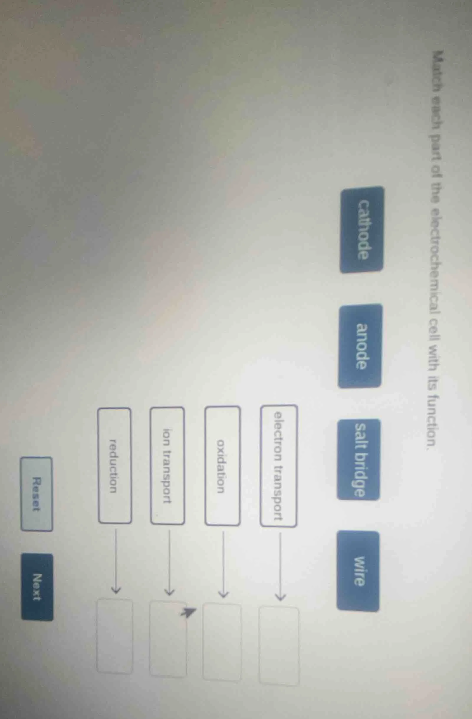 match each part of the electrochemical cell with its function. reset ne…
