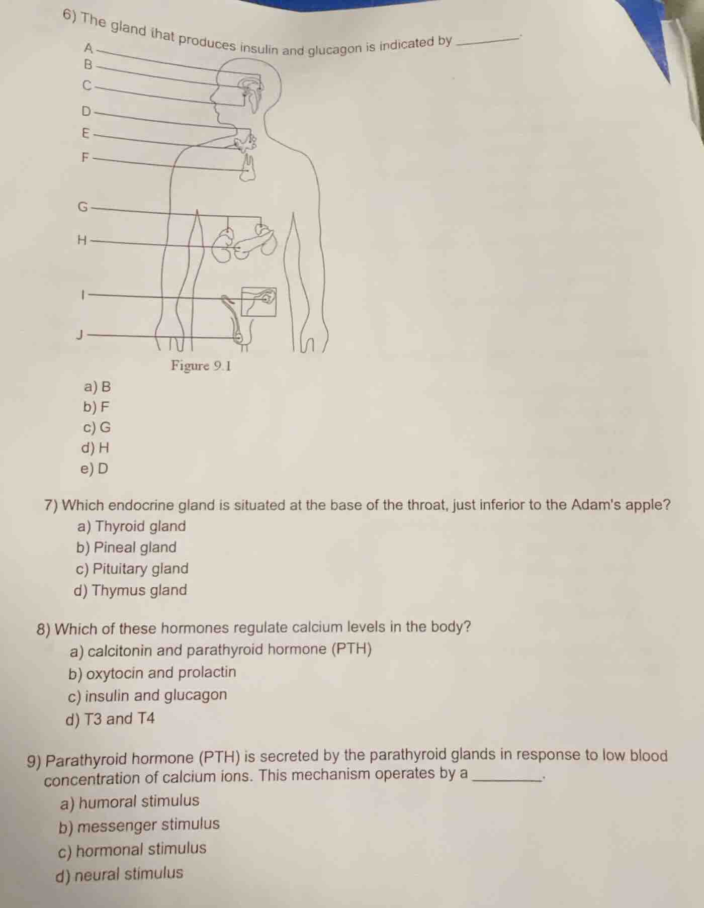 6) the gland that produces insulin and glucagon is indicated by ______.…