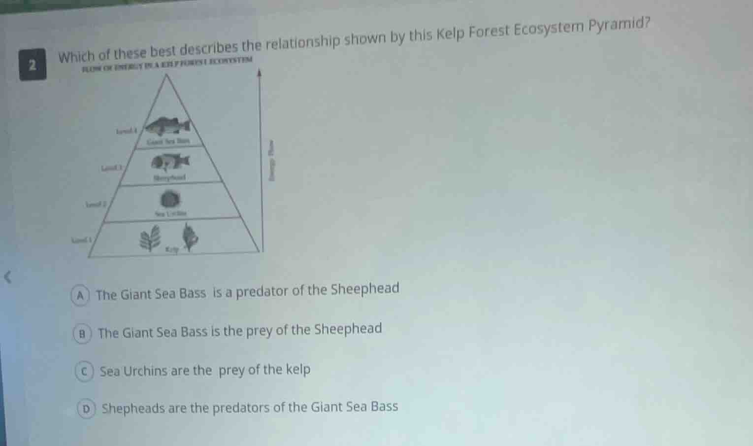 2 which of these best describes the relationship shown by this kelp for…