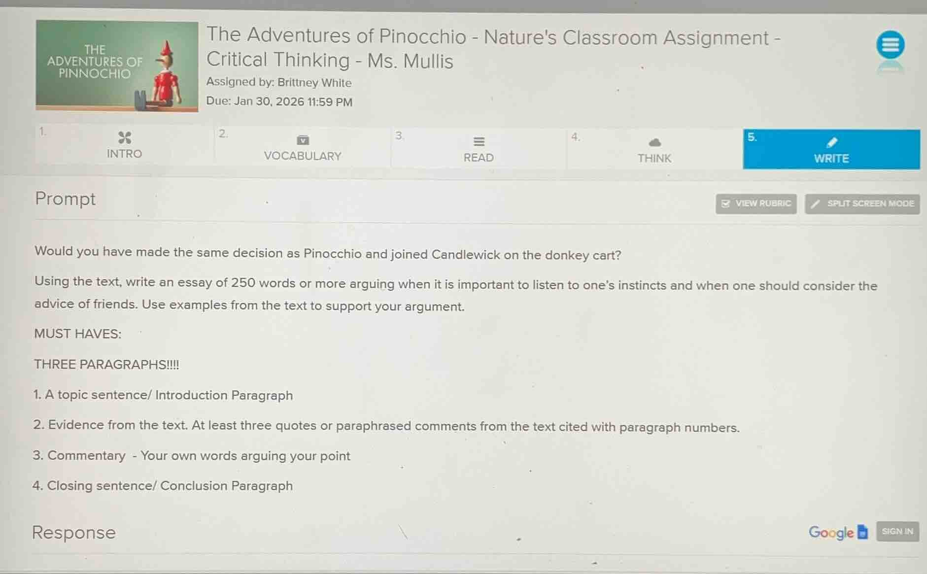 the adventures of pinocchio - natures classroom assignment - critical t…
