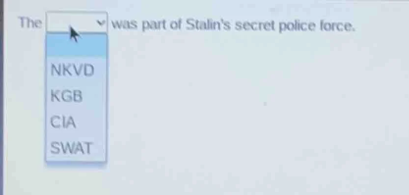 the was part of stalins secret police force. nkvd kgb cia swat