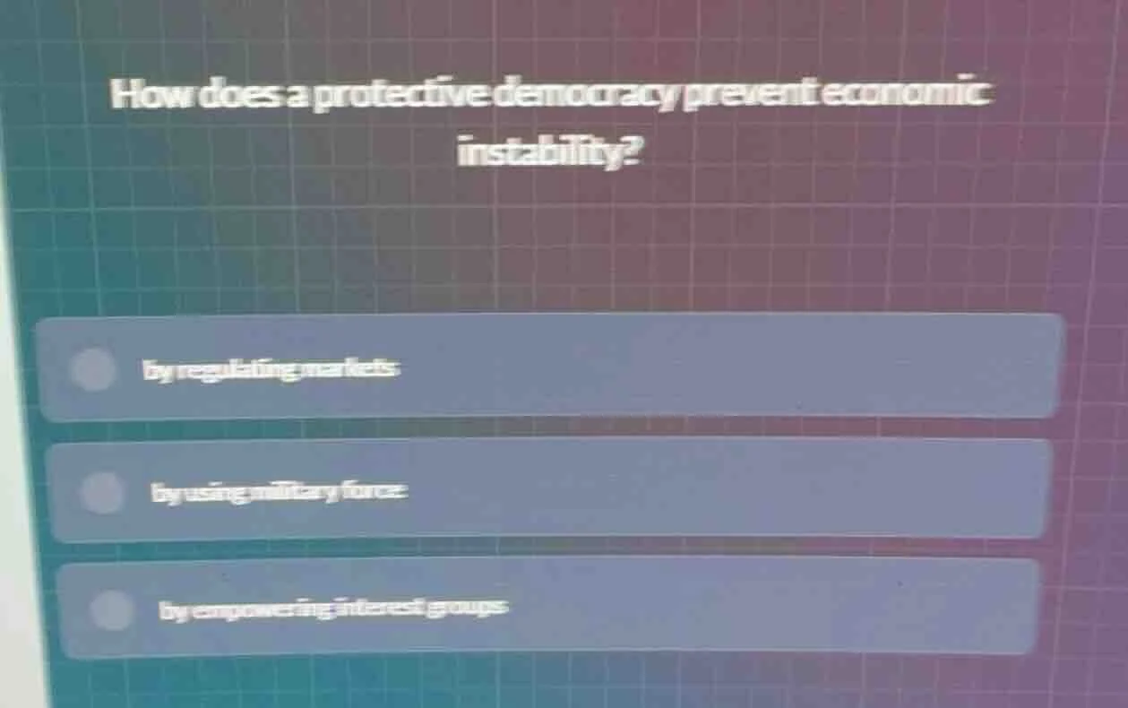 how does a protective democracy prevent economic instability? by regula…