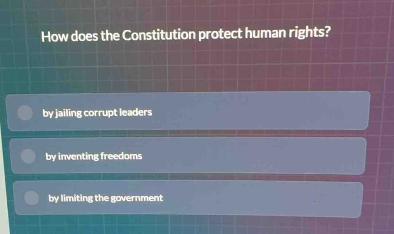how does the constitution protect human rights? by jailing corrupt lead…