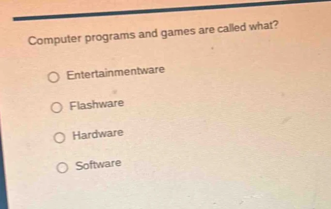 computer programs and games are called what? ○ entertainmentware ○ flas…