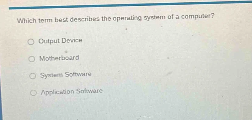 which term best describes the operating system of a computer? output de…