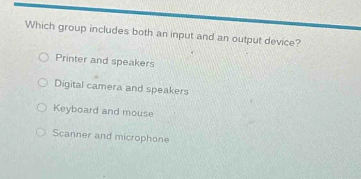 which group includes both an input and an output device? printer and sp…
