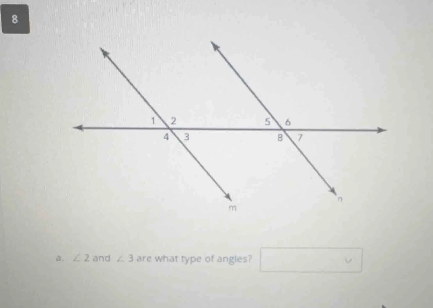 8 a. $\\angle 2$ and $\\angle 3$ are what type of angles?