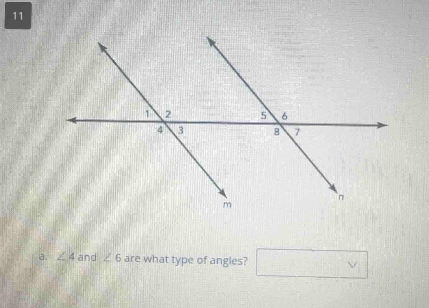 11 a. $\\angle 4$ and $\\angle 6$ are what type of angles?
