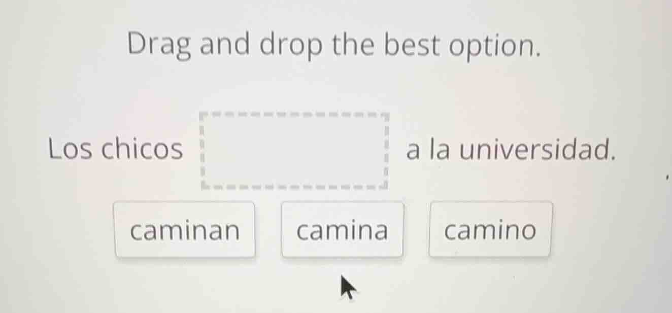 drag and drop the best option. los chicos a la universidad. caminan cam…