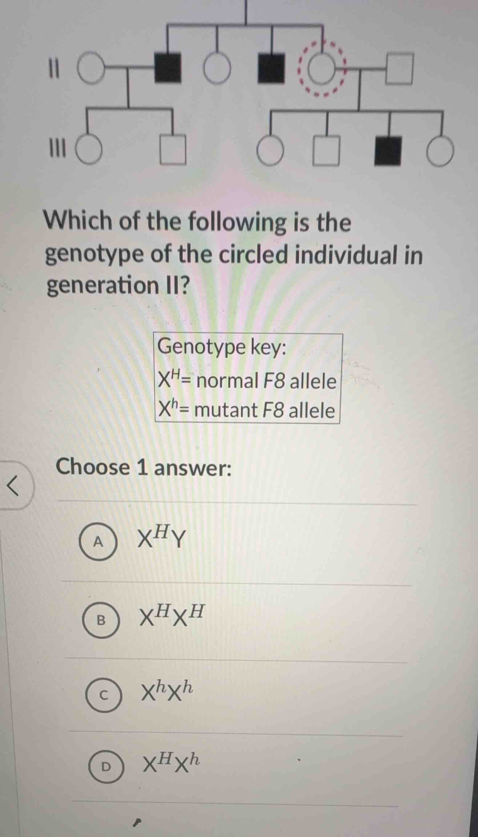 which of the following is the genotype of the circled individual in gen…
