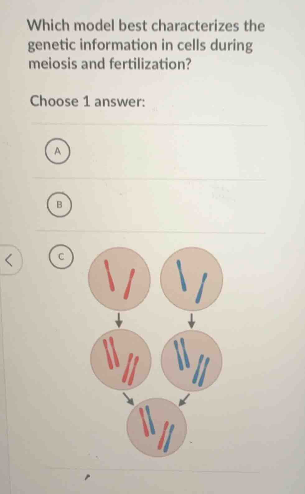 which model best characterizes the genetic information in cells during …