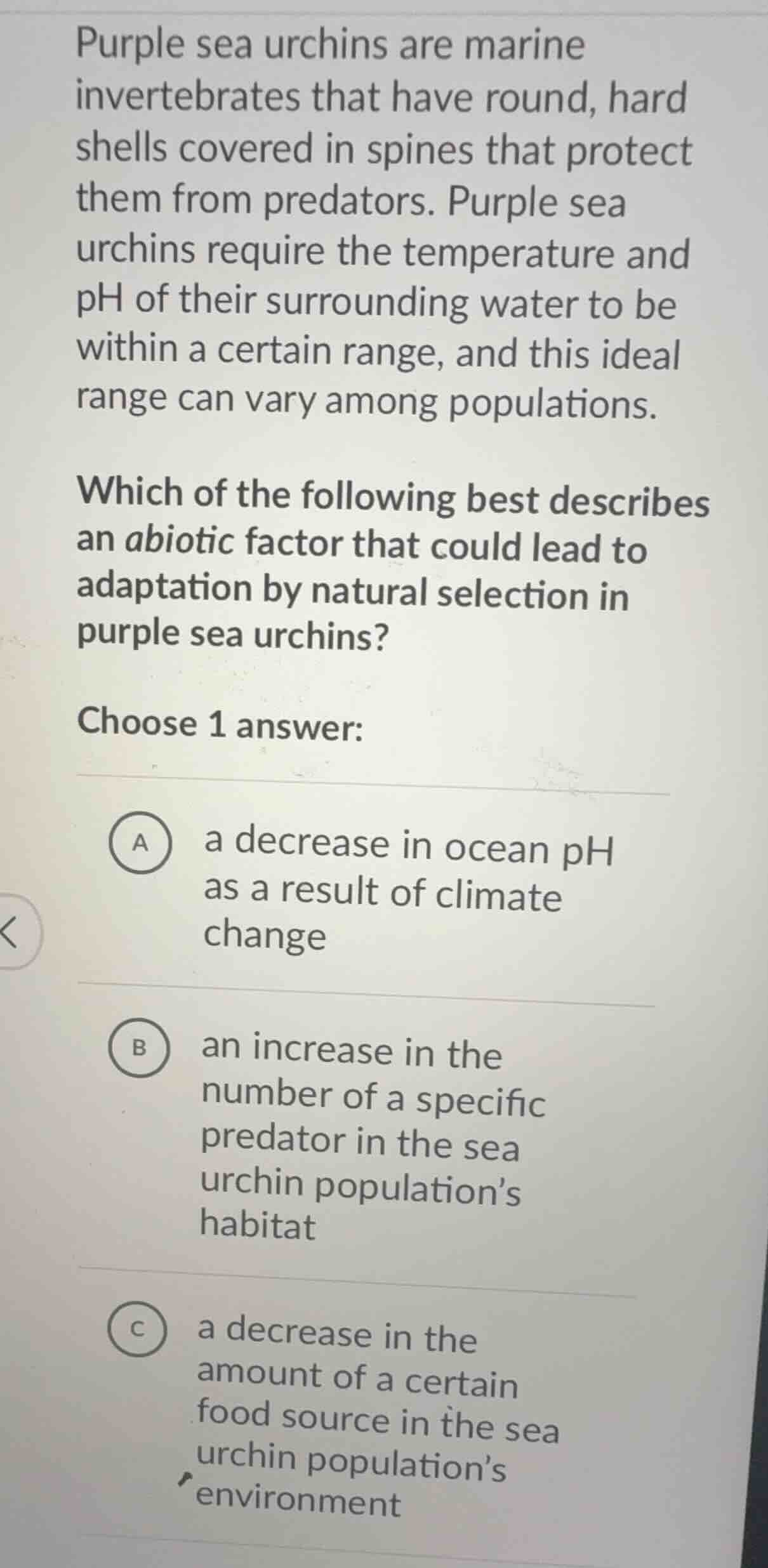 purple sea urchins are marine invertebrates that have round, hard shell…