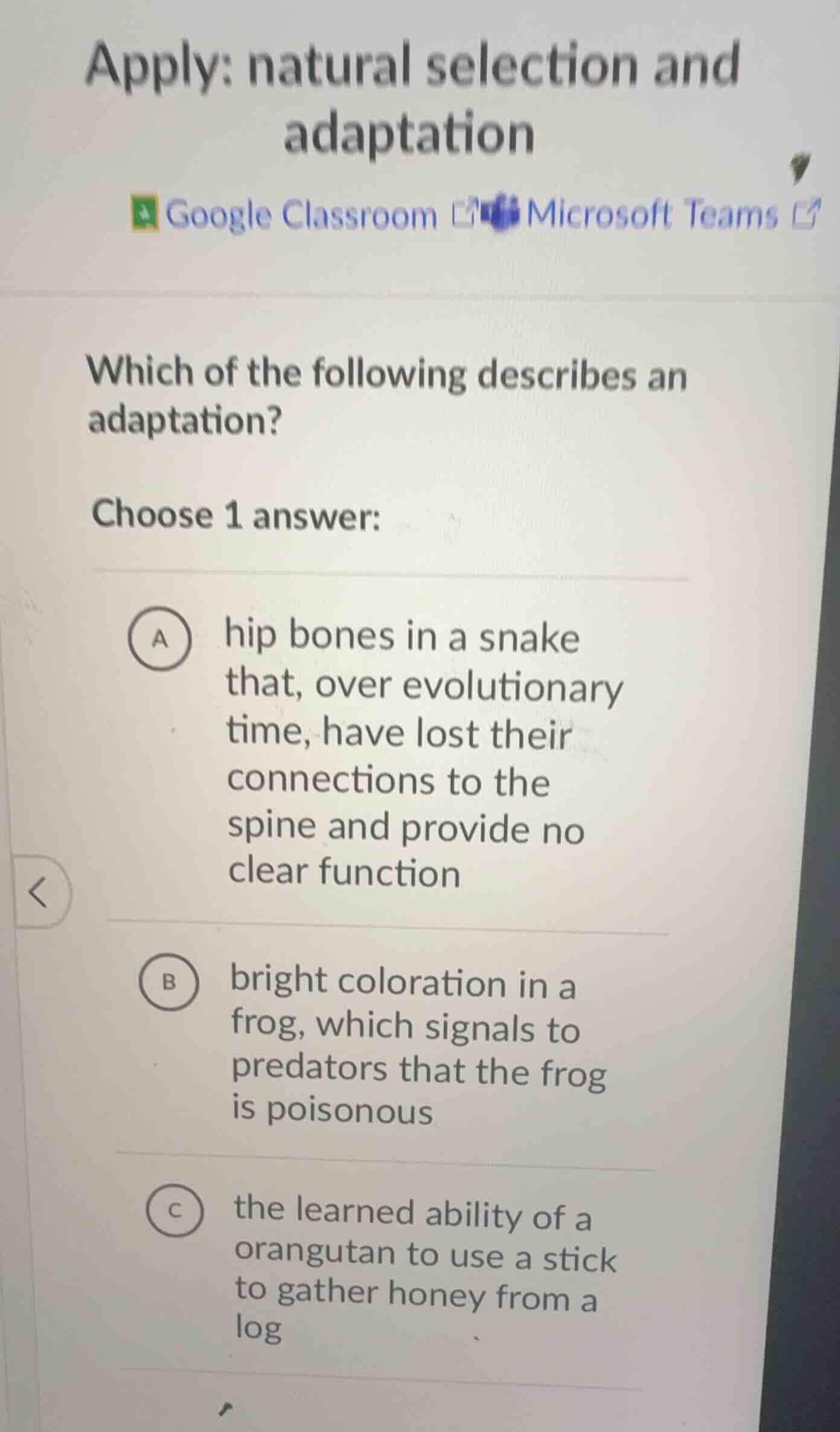 apply: natural selection and adaptation which of the following describe…