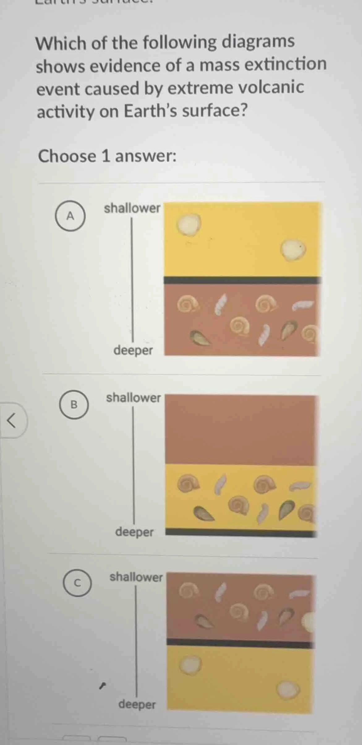 which of the following diagrams shows evidence of a mass extinction eve…