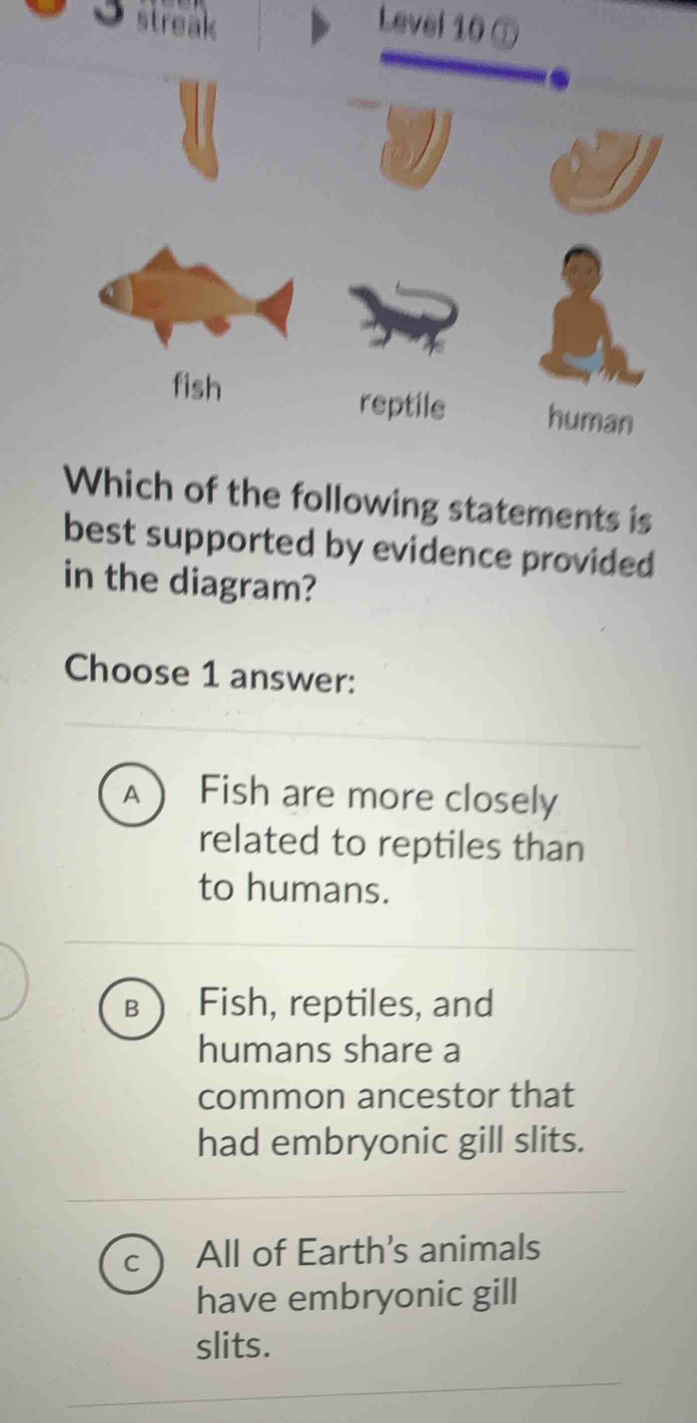fish reptile human which of the following statements is best supported …