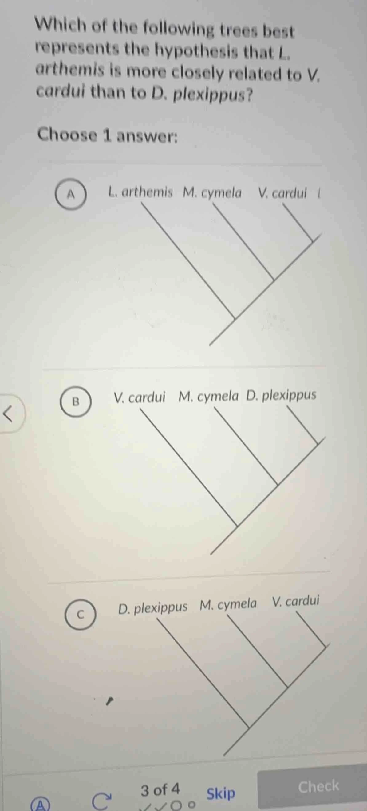 which of the following trees best represents the hypothesis that l. art…
