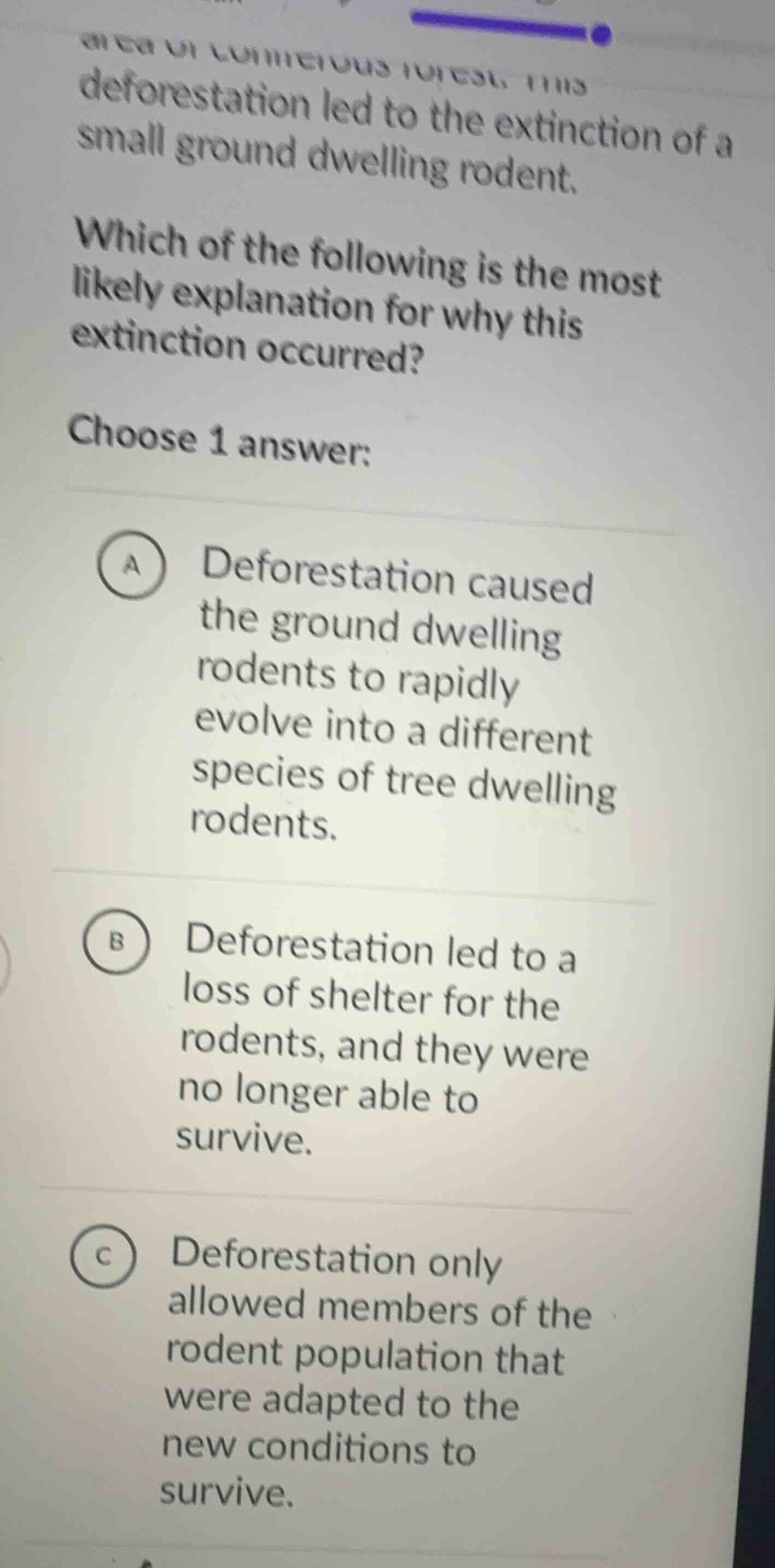 deforestation led to the extinction of a small ground dwelling rodent. …