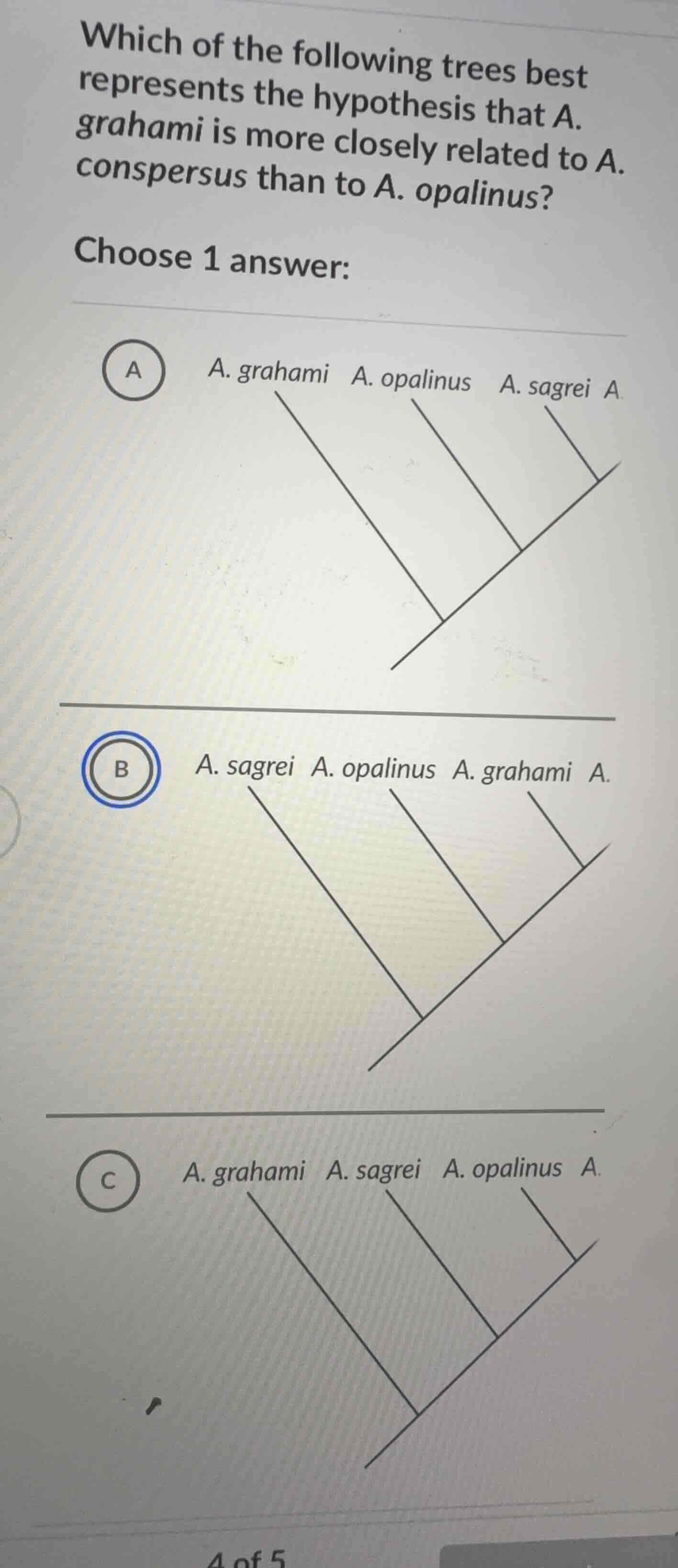 which of the following trees best represents the hypothesis that a. gra…