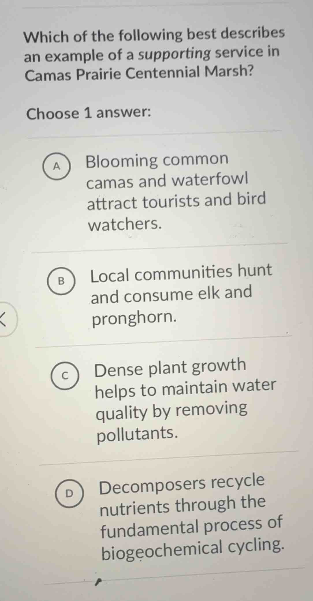 which of the following best describes an example of a supporting servic…