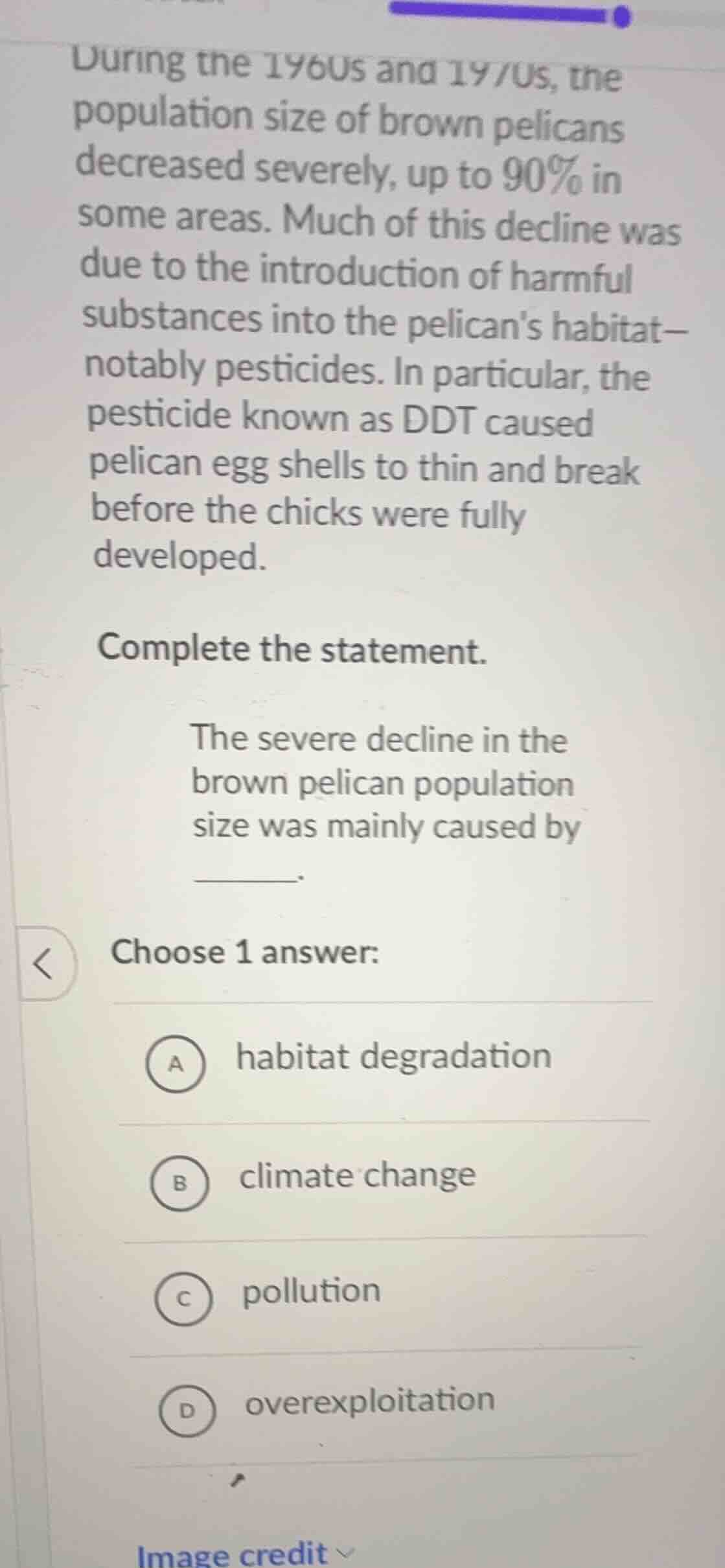 during the 1960s and 1970s, the population size of brown pelicans decre…
