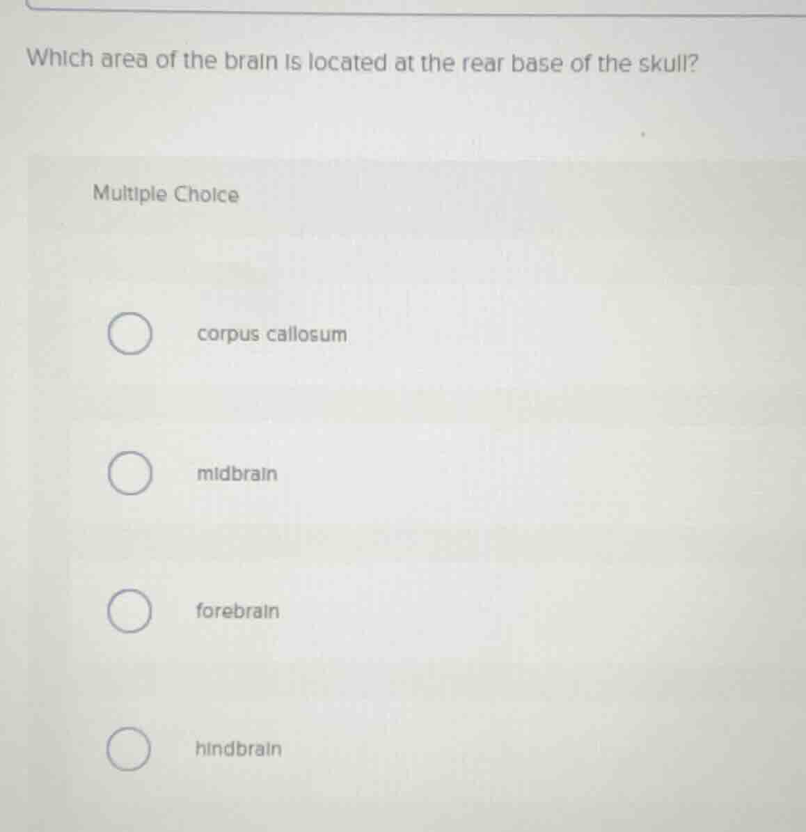 which area of the brain is located at the rear base of the skull? multi…