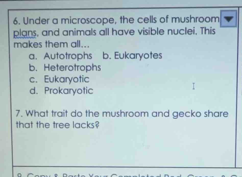 6. under a microscope, the cells of mushroom plans, and animals all hav…