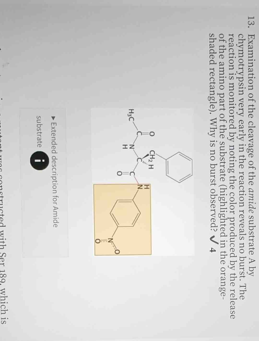 13. examination of the cleavage of the amide substrate a by chymotrypsi…
