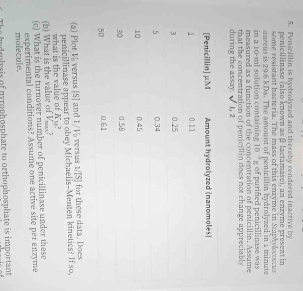 5. penicillin is hydrolyzed and thereby rendered inactive by penicillin…