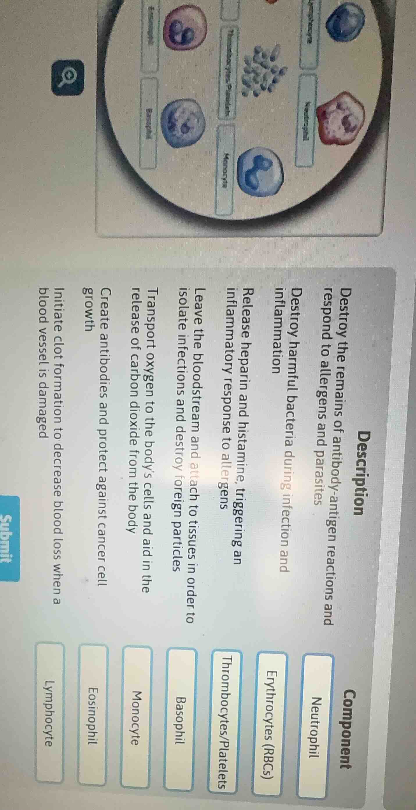 description destroy the remains of antibody - antigen reactions and res…